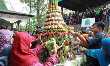 Khidmatnya Kenduri Kupat Puncak Syawalan Petani Delanggu Klaten