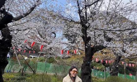 Usai Cerai, Hansika Motwani Temukan Kedamaian Di Jepang