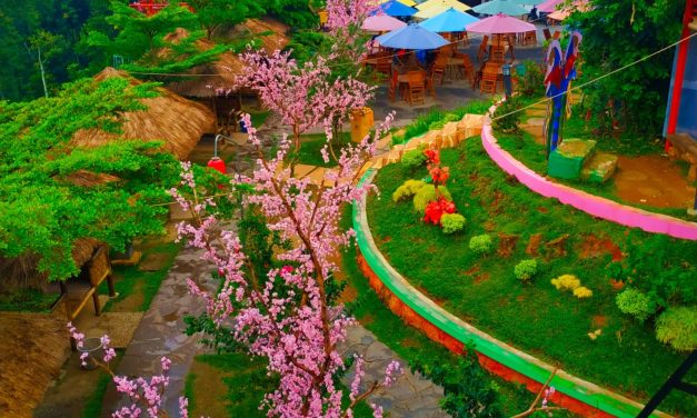 Merasakan Nuansa Jepang Di Bukit Sakura Kemiling, Lampung