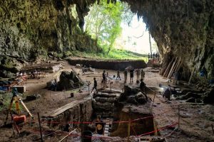 Misteri Terungkap! Alasan Sebenarnya Hobbit Flores Bisa Punah