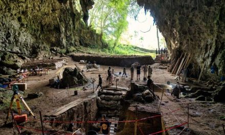Misteri Terungkap! Alasan Sebenarnya Hobbit Flores Bisa Punah