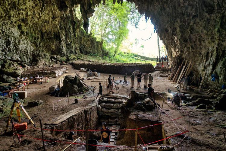 Misteri Terungkap! Alasan Sebenarnya Hobbit Flores Bisa Punah