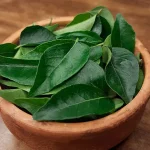 Jarang Di Sadari! Daun Kari Bisa Bantu Turunkan Gula Darah