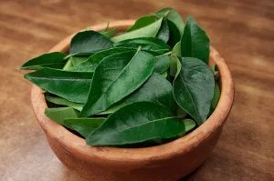 Jarang Di Sadari! Daun Kari Bisa Bantu Turunkan Gula Darah