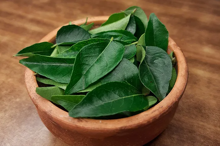 Jarang Di Sadari! Daun Kari Bisa Bantu Turunkan Gula Darah