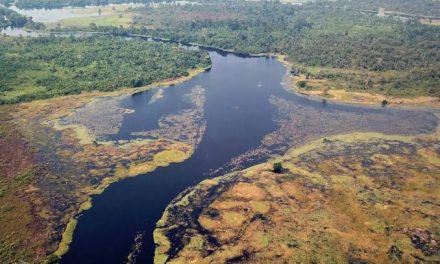 Suatu Kealamian Aliran Air Sungai Yang Bergerak