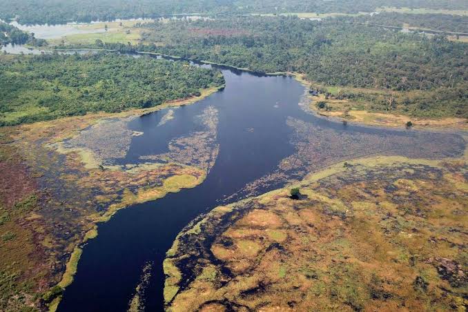 Suatu Kealamian Aliran Air Sungai Yang Bergerak
