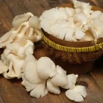 Bukan Sekadar Lauk! Jamur Tertentu Mengandung Vitamin D
