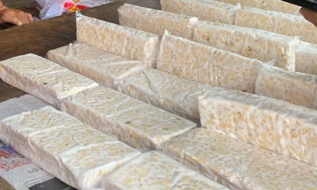 Sebuah Fermentasi Kedelai Menjadi Makanan Tempe